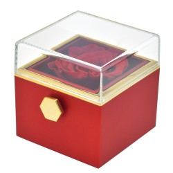 Surprise jewelry box...